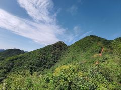 -大岭沟猕猴桃谷风景区
