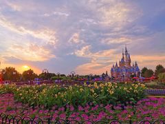 -上海迪士尼度假区