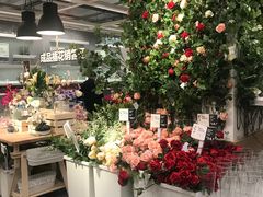 -宜家家居(哈尔滨商场店)