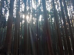 -山王坪喀斯特国家生态公园