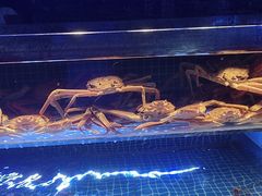 -驻海渔市(置信店)