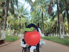 -白沙门生态公园