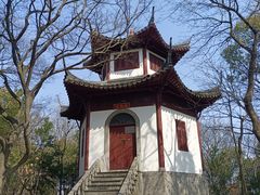 -上海佘山国家森林公园天马山园