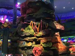 游乐设施-青岛嘉年华主题乐园