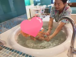 点击看大图 -重庆安琪儿妇产医院-妇幼保健联盟医院