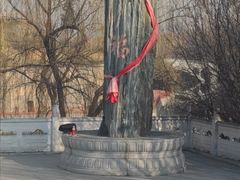 -西安汉城湖景区