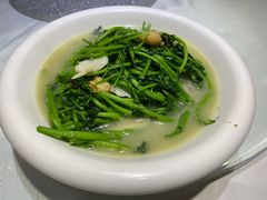 西洋菜-新享乐海鲜(翠华路店)