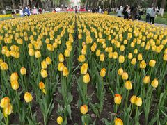 -西宁市人民公园(城西区)