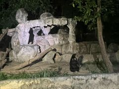 -清迈夜间动物园