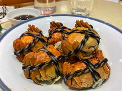 -杨氏青龙虾·羊蝎子(珠江路店)