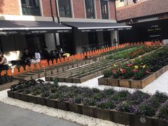 -Money Shops(愚园路店)