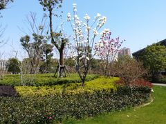 -中共上海市委党校 上海行政学院