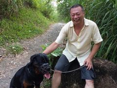 -武吉知马自然保护区