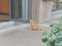 -安肯心理咨询(长宁旗舰店)