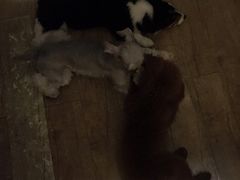iphone_upload_pic-M-3 PUB(创智天地店)