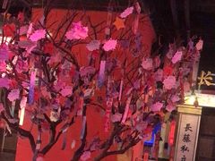 -长藤鬼校(观音桥店)