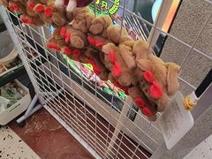 -南拳十三姨·潮汕砂锅粥·粤菜(西单大悦城店)