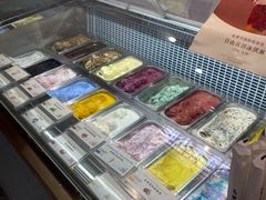 -iceason爱茜茜里·意大利健康冰淇淋(骑龙巷店)