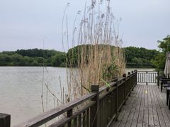 -杏花村文化旅游区