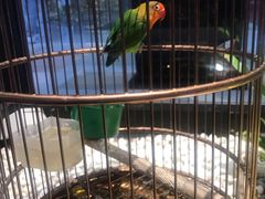 大堂-老湘亲·品鉴湘菜(蔡塘爱琴海店)