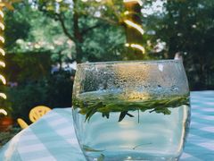 桂花龙井-欣怡茶庄·始于1999(梅家坞店)