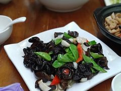 -少林寺欢喜地素斋馆