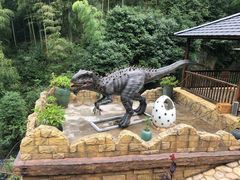 -将军关探险漂流