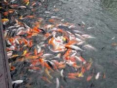 -厦门日月谷温泉渡假村