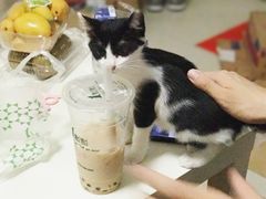 -1点点(东门电玩城店)