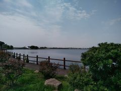 -鹅湖玫瑰文化园