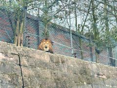 -乐和乐都主题乐园