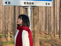 -黄海国家森林公园