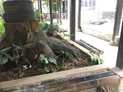 -园林美食城·本土农家菜(杨和镇店)