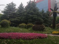 -双季花艺园艺市场(浦东店)