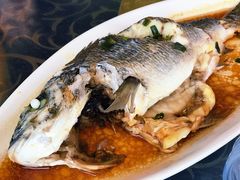 -七鲜渔港美食餐厅(巽寮湾海景店)