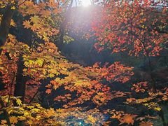 -本溪关山湖风景区