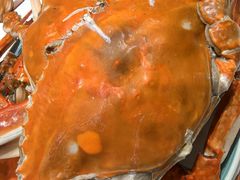 -北塘海鲜·天津菜(大光明桥旗舰店)