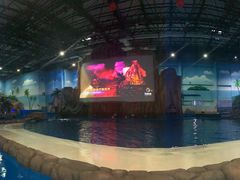 -华夏文旅海洋公园