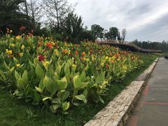 -府河摄影公园