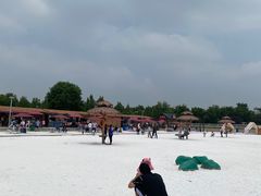 -武清南湖绿博园