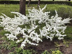 -国家植物园
