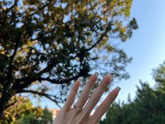 -上海安亭别墅花园酒店