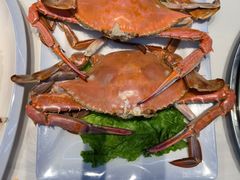 -东夷海鲜巨无霸(东夷小镇店)