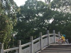 -小洲村