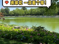 -陶然亭公园
