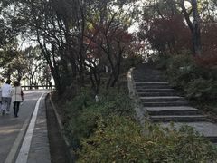 -岳麓山风景名胜区
