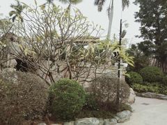 -美的鹭湖探索王国