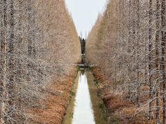 -黄海国家森林公园