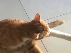 -美迦爱-牙专科·兔科·骨科诊疗中心(北苑店)