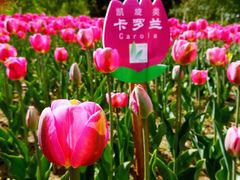 -长春公园(普阳街道)